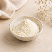 Cream Cheese Powder 1kg